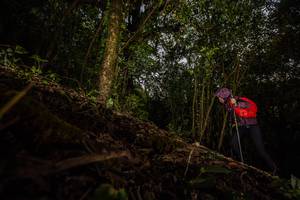 BIB: 
                            <button type="button" onclick="openModal(16016163)" class="btn btn-primary btn-sm float-right btn-popup" data-toggle="modal" data-target=".modal-high-quality">
                        <i class="fas fa-shopping-cart"></i> Add to Cart
                    </button>
                                            <button type="button" onclick="isThisMe(16016163, true)" class="btn btn-success btn-sm float-right btn-popup btn-isme hidden" data-toggle="tooltip" data-placement="bottom" title="นี่คือรูปของคุณใช่ไหม คลิกที่นี่เพื่อเอาเข้าอัลบั้ม">
                        <i class="fas fa-plus"></i> Add to album
                    </button>
                    <button type="button" onclick="isThisMe(16016163, false)" class="btn btn-warning btn-sm float-right btn-popup btn-isnotme hidden">
                        <i class="fas fa-ban"></i> Remove from album
                    </button>